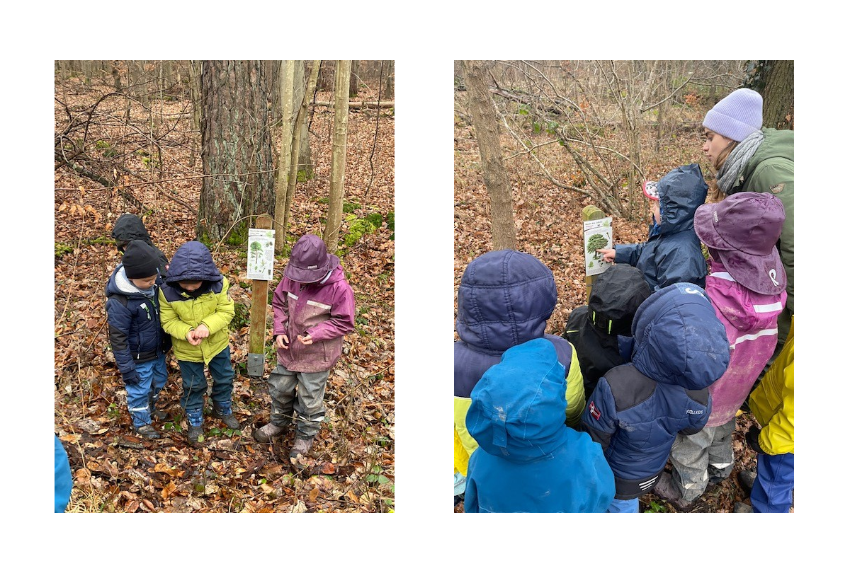 Kita-Gruppe „Maulwürfe“ bewirbt sich um Auszeichnung „Waldkönner“