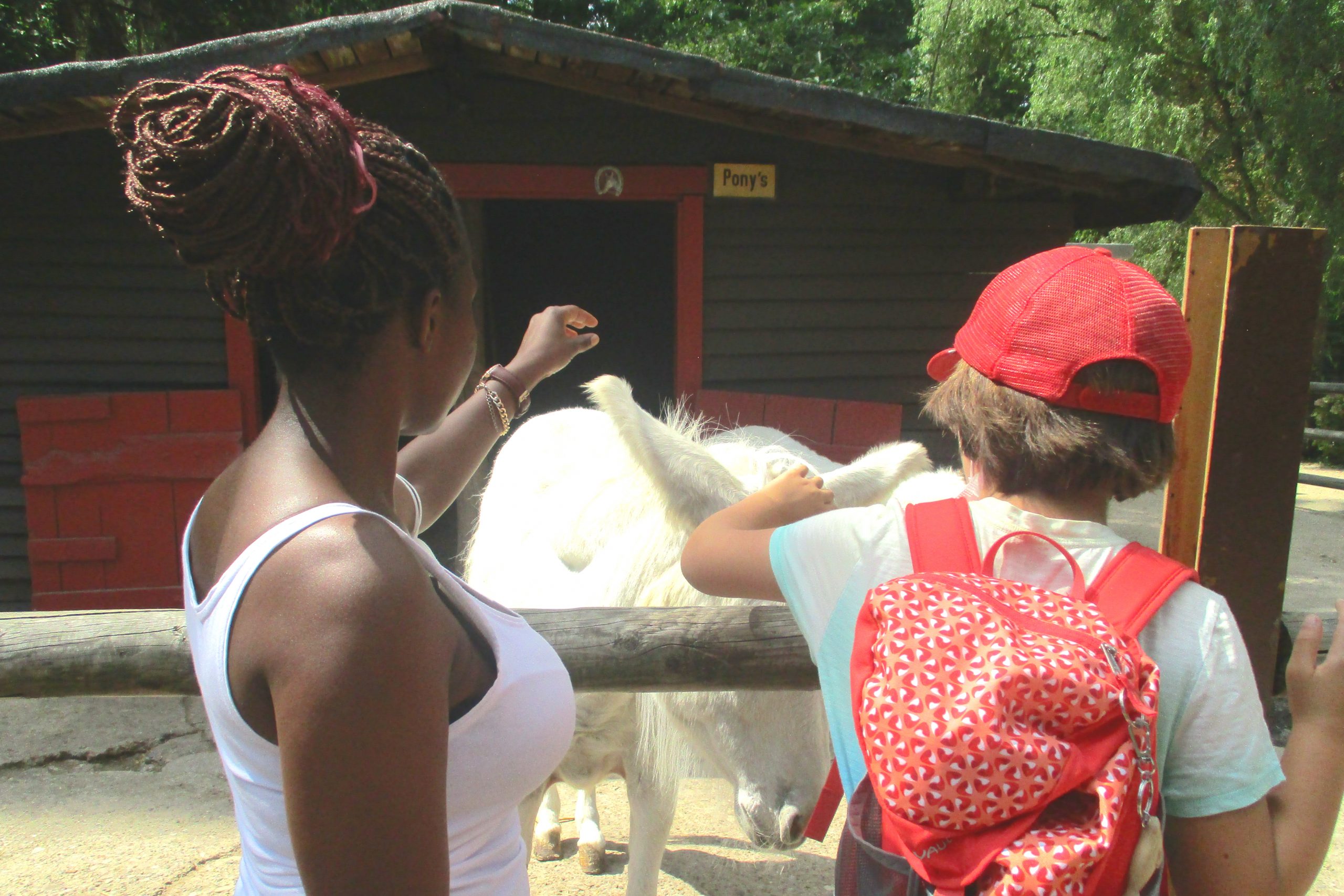 Spannender Bundesfreiwilligendienst mit Kindern und Jugendlichen im Ambulanten Dienst