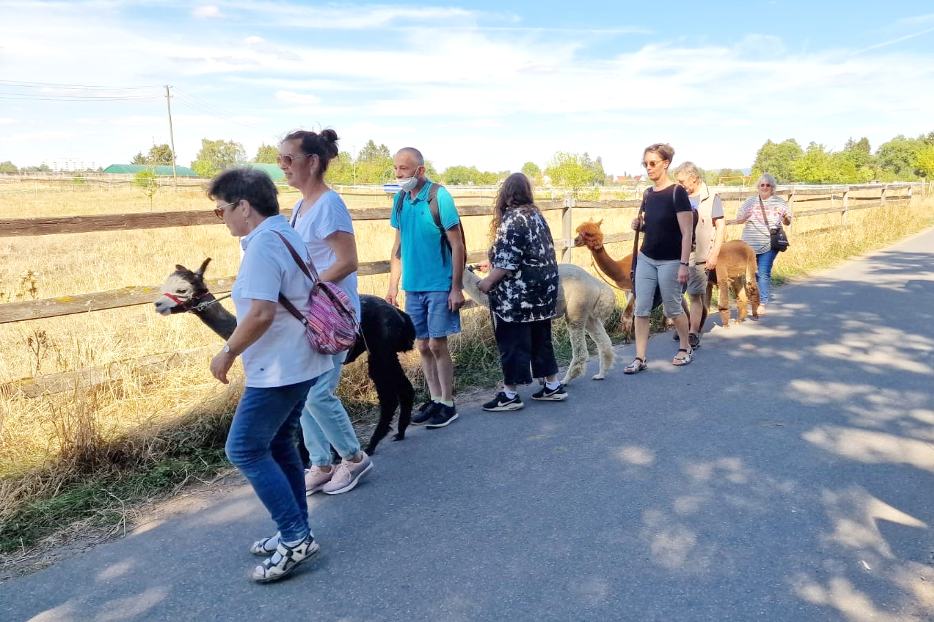 Helga-Gunderlach-Stiftung ermöglicht erneut Alpaka-Wanderung